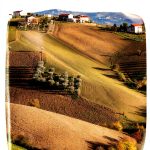 Independently Published English Book 103 Pages Ages 5-18-0