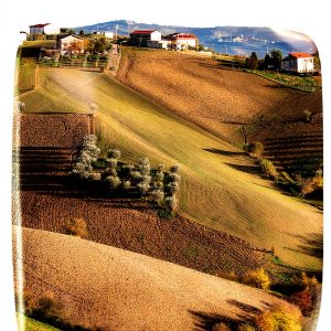 Independently Published English Book 103 Pages Ages 5-18-0