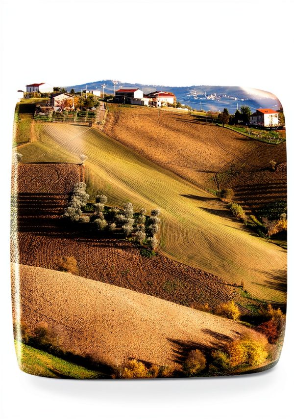 Independently Published English Book 103 Pages Ages 5-18-0