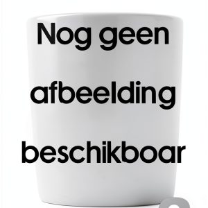 Bike Gp Review 1983 DVD Motorcycle Racing Film PAL-0