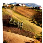 English Print Replica Book 103 Pages November 2024 Release-0