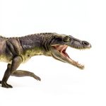 Indiana University Press Marine Biology Kindle Book-0